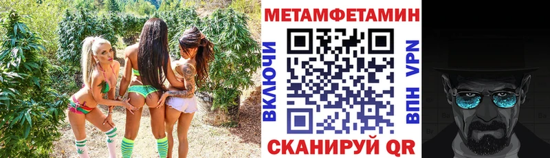 Купить где  Заводоуковск  Amphetamine Premium 
