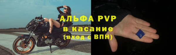 сатива Белоозёрский