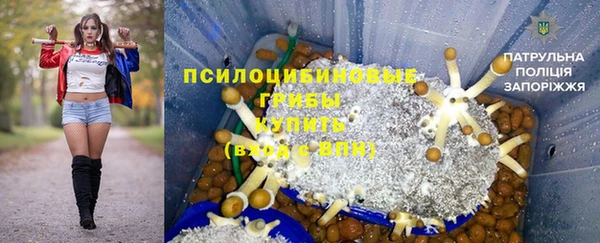 а пвп мука Белокуриха
